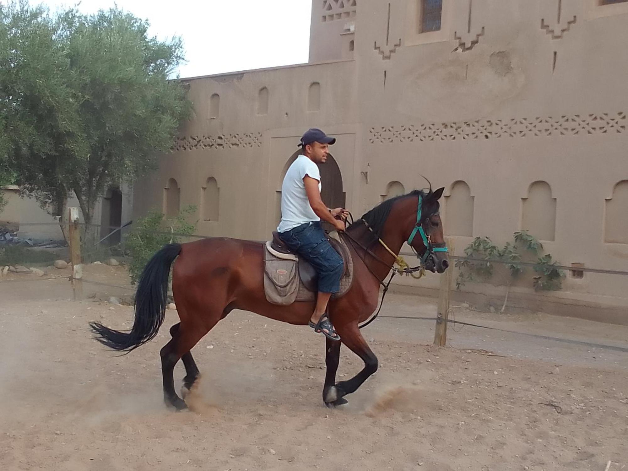 Kasbah Dar Dmana Hotel Skoura Exterior photo